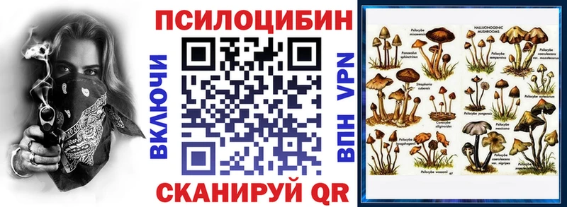 как найти наркотики Камышлов Псилоцибиновые грибы прущие грибы